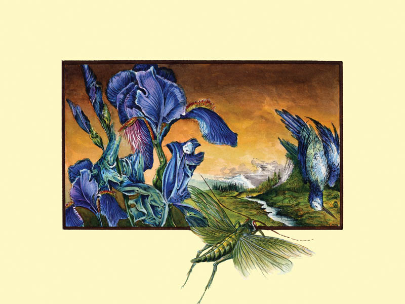 Dietrich Schuchardt Blue Lilies (Blaue Lilien) hand painted etching